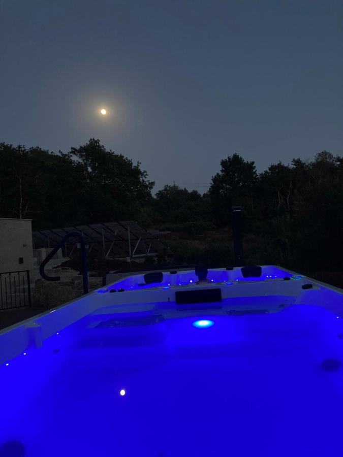 Hotel Quinta Vale De Palheiros Santa Comba Dao Exteriér fotografie
